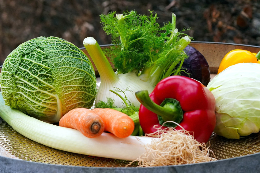 Ernährung und Nahrungsergänzung bei Makuladegeneration und Glaukom