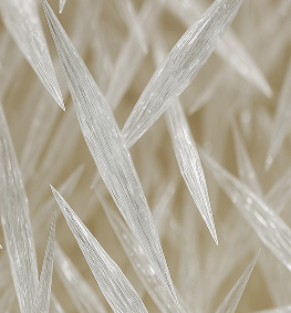 Block Image 27